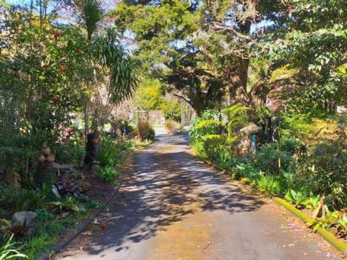 Waimoana Garden Accommodation Whangarei Exteriér fotografie